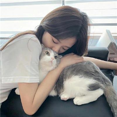 动画综艺